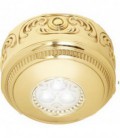 Накладной точечный светильник из латуни, FEDE коллекция ROMA Surface, блестящее золото