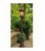 Уличный фонарь Robers AL 6743