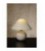 Lucide FARO Table lamp Ceram. H.21cm Brushed white, 14552/81/31