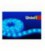 Светодиодная лента ULS-5050-60LED/m-10mm-IP33-DC24V-14,4W/m-5M-BLUE катушка в герметичной упаковке