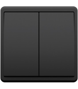 Выключатель 2-клавишный, Efapel Apolo 5000, черный матовый
